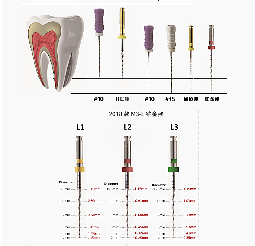 /inside/详情_05-1611038160326.jpeg /inside/详情_05-1611038160326.jpeg