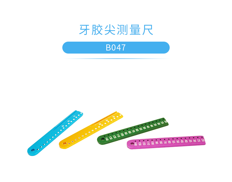 瑞尔 牙胶尖测量尺(直尺),天津瑞尔,牙脚尖,交,b047,b047 (颜色随机)